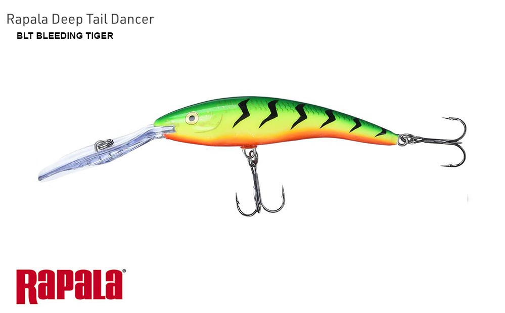 RAPALA TDD 11 DEEP TAIL DANCER  COLORE BLT BLEEDING TIGER 22 GR  SPINNING LUCCIO