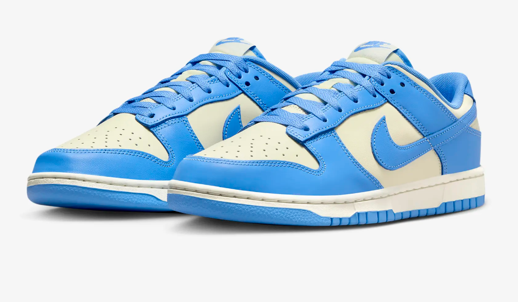 靴 NIKE DUNK LOW RETRO BLUE\"27.5cm Amazon.com | Retro Dunk Low by NIKE | Fashion Sneakers