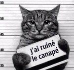 ludzz