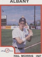 1987 ProCards Minor League - Hal Morris #759