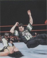 1999 Comic Images WWF SmackDown! - Shane McMahon #64