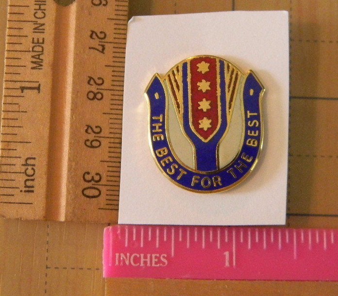 US Army 315TH Support Group DUI unit insignia crest pin D-22 USA Made