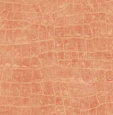 Seabrook Wallpaper in Orange/Rust TA20516