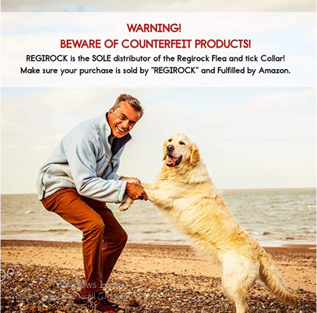 DYEOF Flea Tick Collar for Dogs - 8 Months Protection - Hypoallergenic, Adjustab