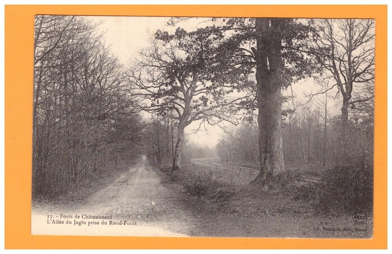 Foret De Chateauneuf (28) Voie Ferroviaire Bordant AllÃ©E De Jaglu DÃ©But 1900