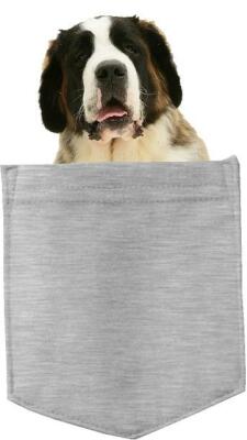 Saint Bernard Dog in pocket Fridge Car Magnet Bumper Sticker App size 4''x7''