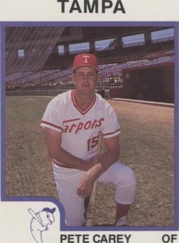 1987 ProCards Minor League - Pete Carey #1320