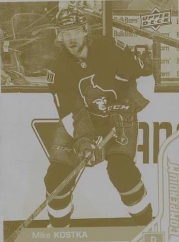 2016-17 Upper Deck Compendium - Michael Kostka #481