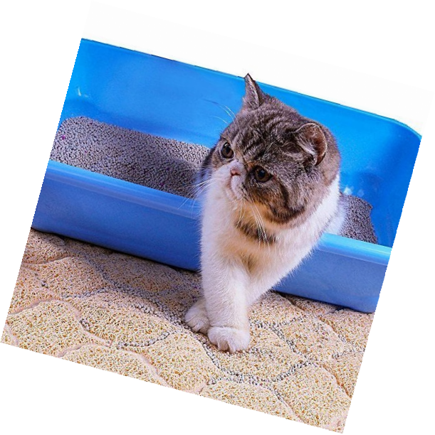 Cat Litter Mat, Box - Extra Large Track Best Mats for Cats Kitty Boxes, No BPA