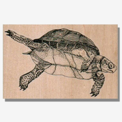 Swimming Turtle RUBBER STAMP, Animal, Wildlife, Water, Sea, Fish,Tortoise,Pet lg