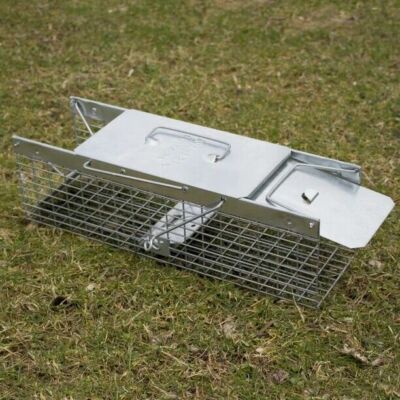 Havahart Small Squirrel 2-Door Animal Trap  17.5 in x 5.76 in x 7.22 in