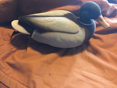 Drake Mallard Full Body Decoy Flocking Kit