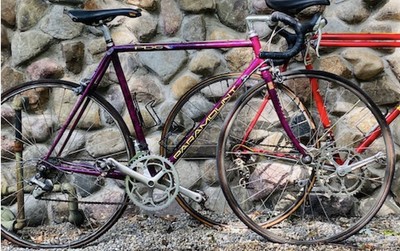 1982