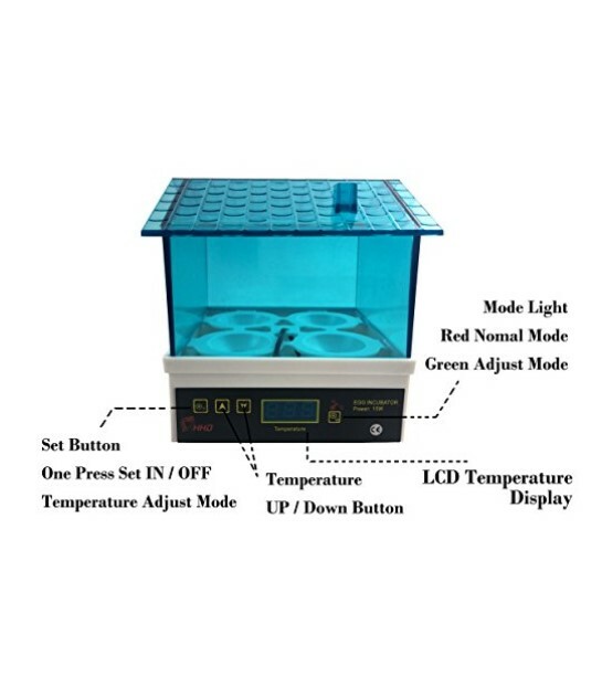 New 4 Mini Hatchery Egg Incubator Hatcher