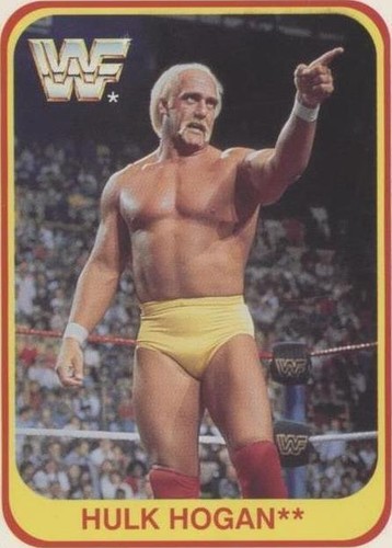 1991 Merlin WWF - Hulk Hogan #24