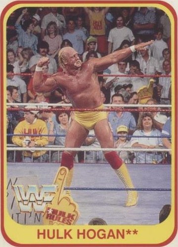 WWF　Summerslam 91　VHS 1991 WWF SUMMERSLAM VHS Video Print Ad HULK HOGAN ULTIMATE
