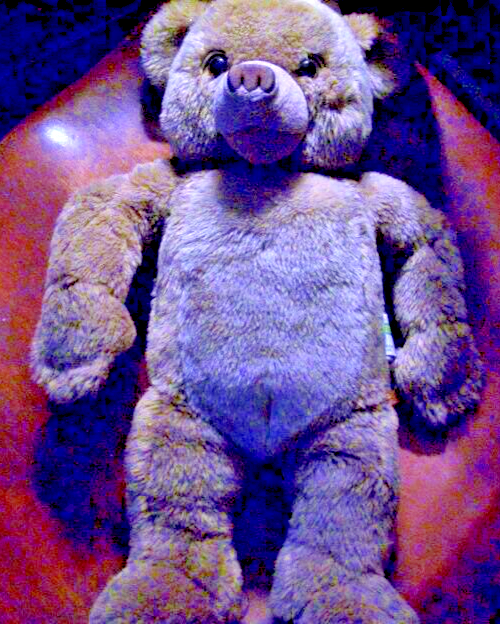 JJ Wind Bear Forces of America US Air Force Patriot Bear