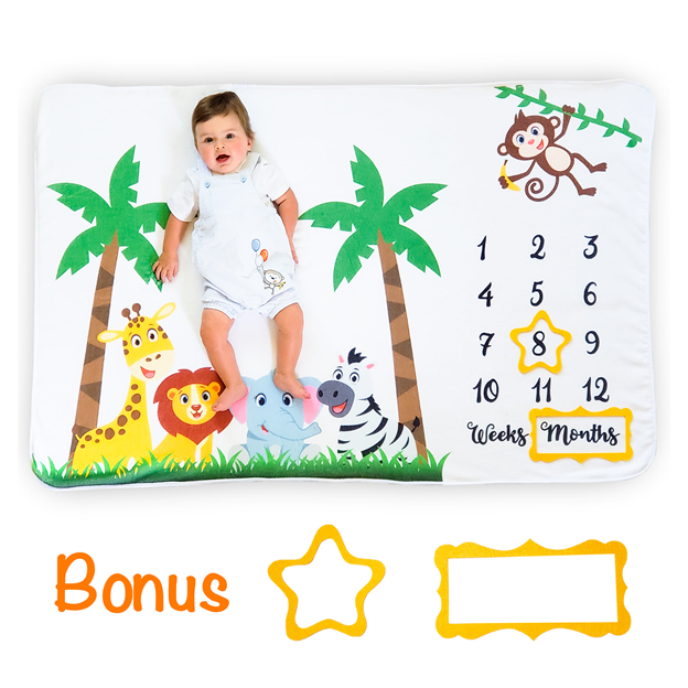 Double Sided, Month Age Blankets, Boy Girl