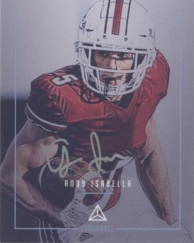 2019 Panini Luminance Andy Isabella #DDS-AI