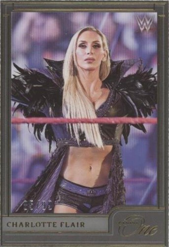 2022 Panini Chronicles WWE - Charlotte #479