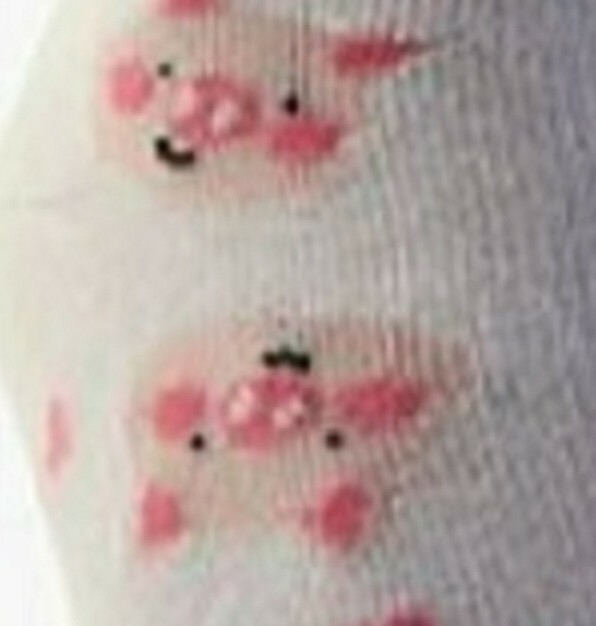 - Pig Heads With Valentine Hearts-novelty Cute Print Animal-new
