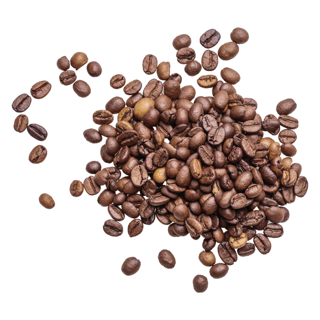 5 lbs of AUTHENTIC Jamaica Blue Mountain Coffee - Free Shipping!