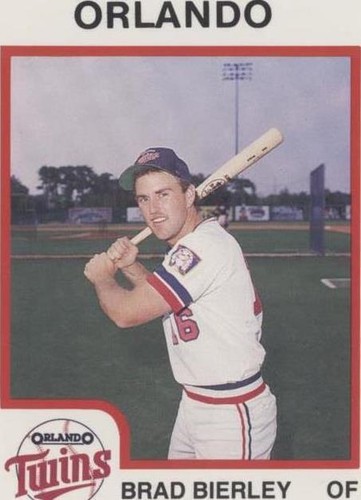 1987 ProCards Minor League - Brad Bierley #879