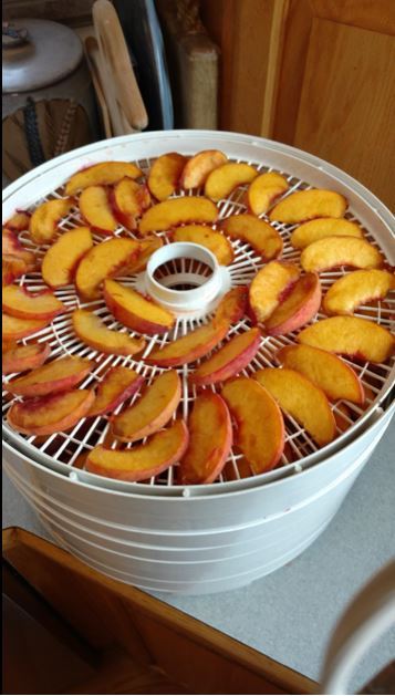 Food Dehydrator Drying Fruit Vegetable Meat Beef Jerky Health Food Dry Cooker