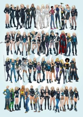 Black Canary Best Of The Best #1 CVR C Schmidt Wraparound VAR 11/27 DC