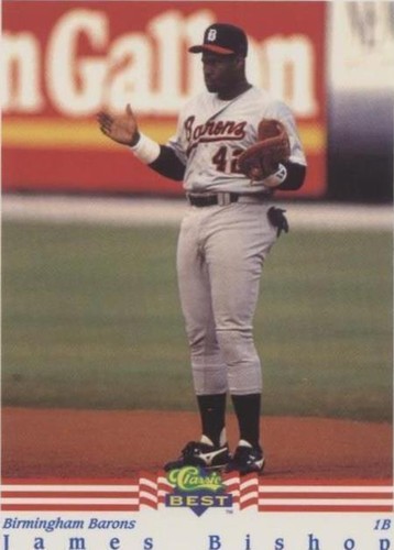 1992 Classic Best Minor League - James Bishop #239