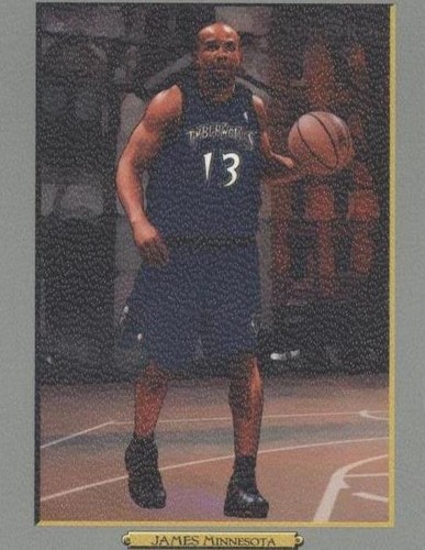 2006-07 Topps Turkey Red - Mike James #171