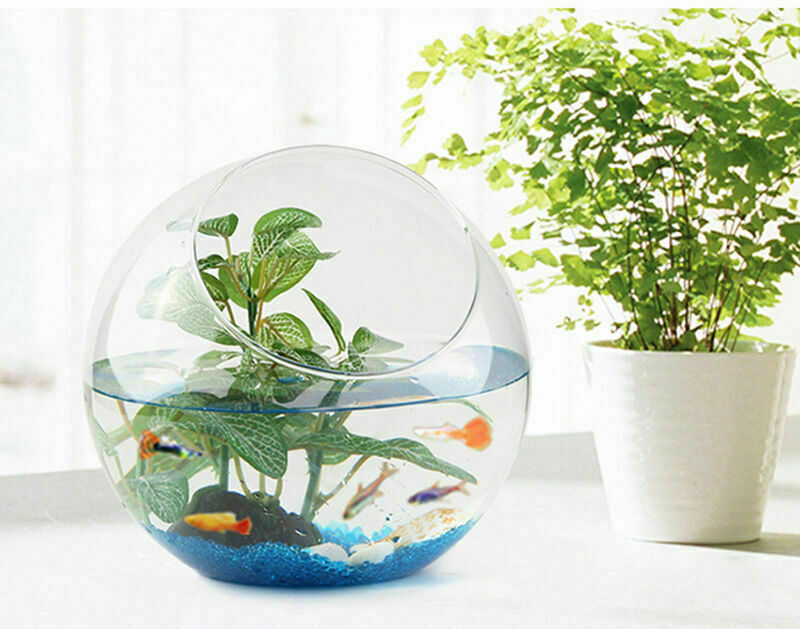 100g Aquarium Terrarium Deko blau leuchtend Kiesel Dekor Stein Ta S5A7 für S6E5