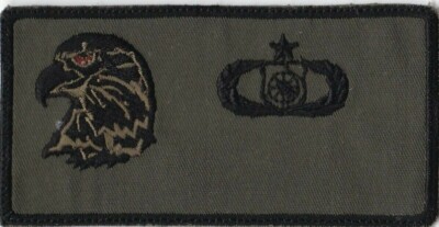 USAF Eagle Air Traffic Control Nametag Wing Patch A-7