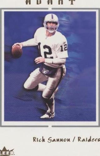 2003 Fleer Avant Rich Gannon #20