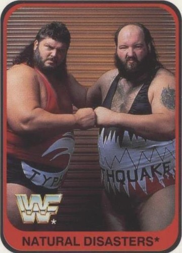 1991 Merlin WWF - Natural Disasters #78