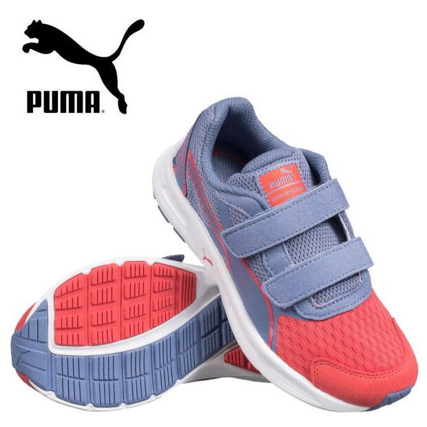 puma descendant puma descendant