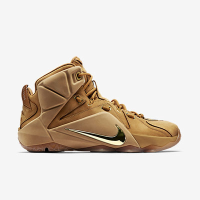 lebrons purple and gold