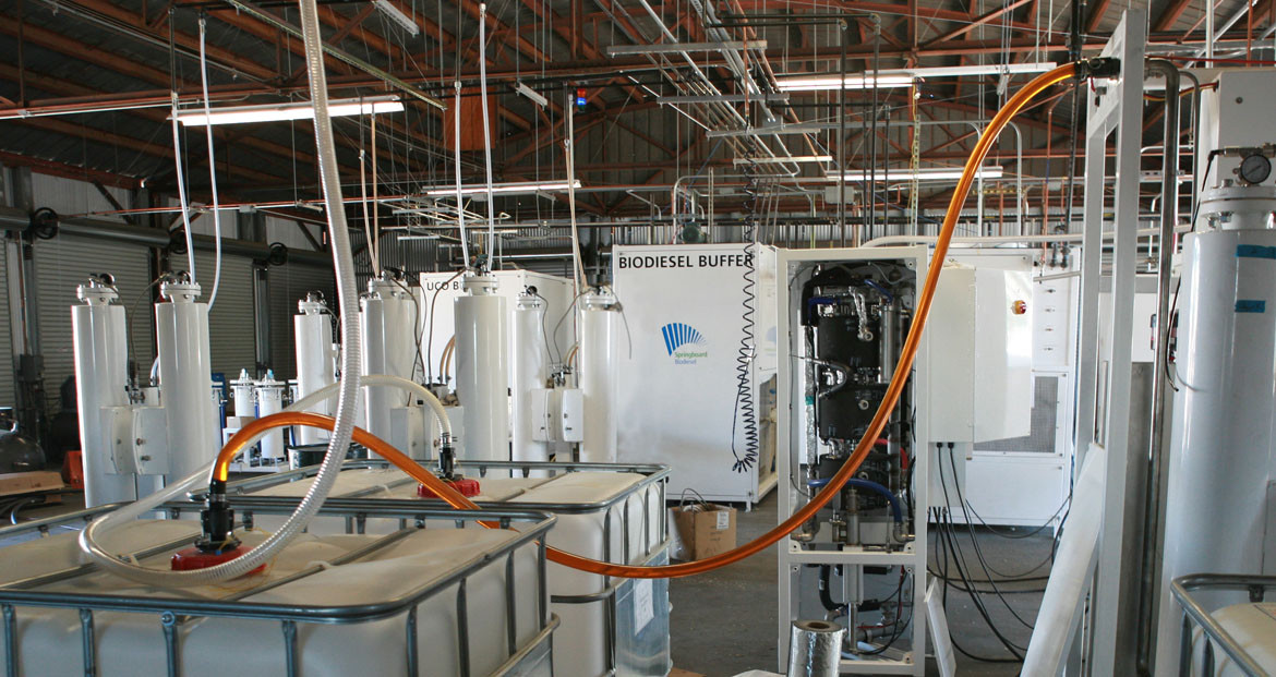 Biodiesel production system