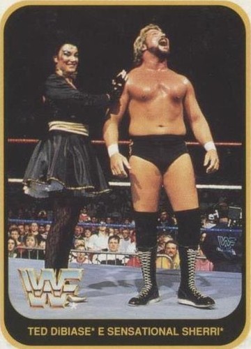 1991 Merlin WWF - Sherri Martel Ted DiBiase #20
