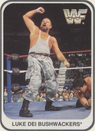1991 Merlin WWF - Bushwhacker Luke #142