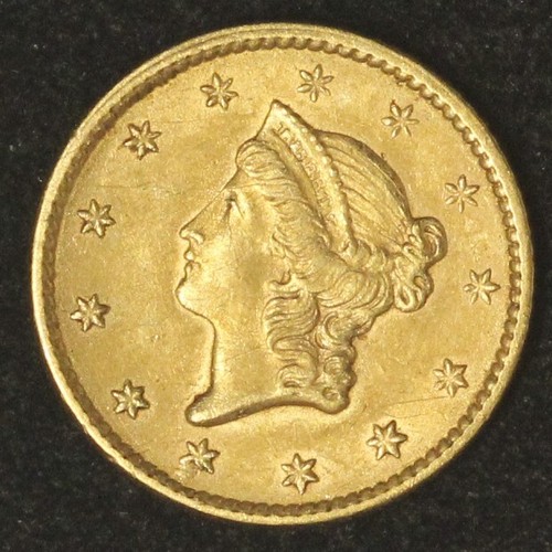 Gold tochi 1 へっど $_12.JPG?set_id=880000500F