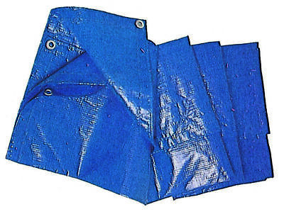 Blaue PVC-Plane mit Öse, mit Ösen, 5 x 6 m, Abdeckschutz