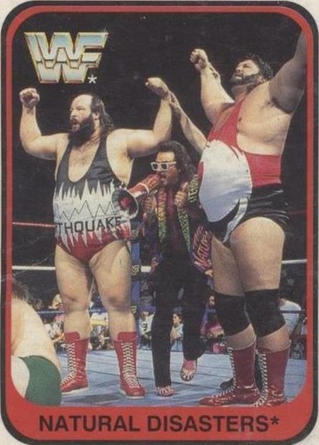 1991 Merlin WWF - Natural Disasters #146