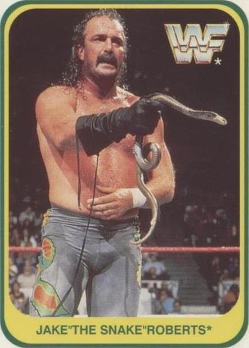 1991 Merlin WWF - Jake "The Snake" Roberts #47