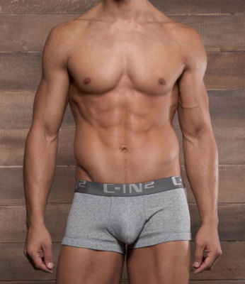 C-IN2 Boxer Brief Core Mens Underwear Grey Size S M L XL (Whit Sling)