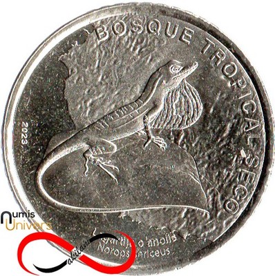 50 Colones de Costa Rica 2023 (2025) - La Faune de Costa Rica, Anolis Sericeus