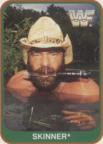 1991 Merlin WWF - Skinner #48