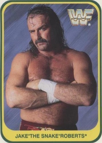 1991 Merlin WWF - Jake "The Snake" Roberts #42