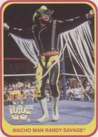 1991 Merlin WWF - Randy Savage #18