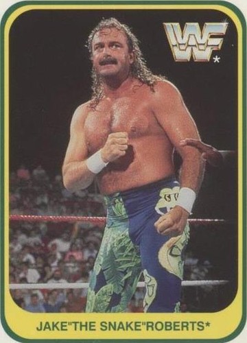 1991 Merlin WWF - Jake "The Snake" Roberts #7